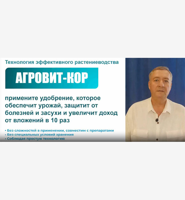 Изображение продукта или услуги